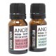 (image for) 10ml Aromatherapy Car Blend - Family Trip